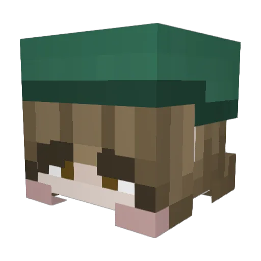 Project_Cha0s Minecraft avatar head, 3D render
