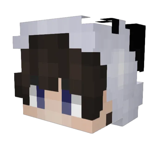 Project_MCA Minecraft avatar head, 3D render