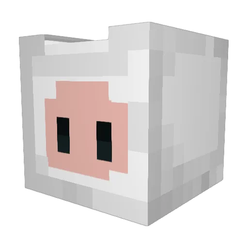 Project_finn Minecraft avatar head, 3D render