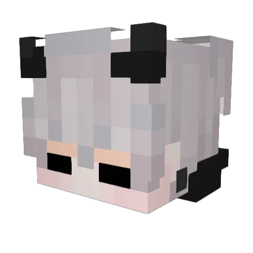 ProjectoZero Minecraft avatar head, 3D render