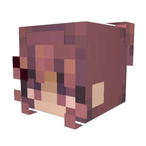 ProjektMomo Minecraft avatar head, 3D render
