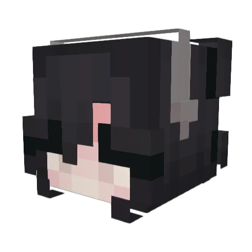Projelka Minecraft avatar head, 3D render