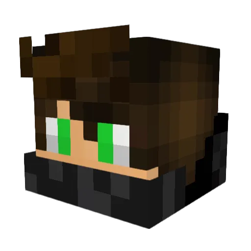 ProlOOzMolOO Minecraft avatar head, 3D render