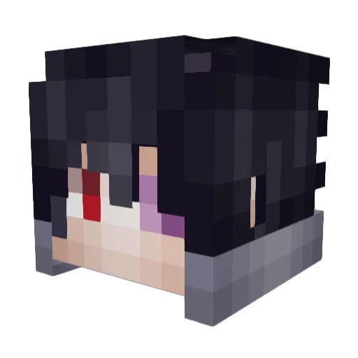 Prolec Minecraft avatar head, 3D render