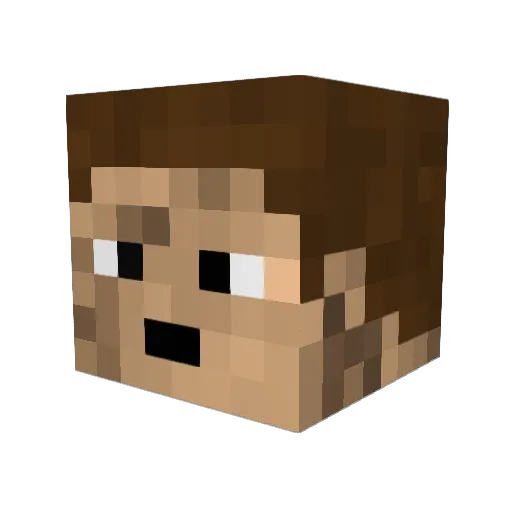 Proman2520 Minecraft avatar head, 3D render