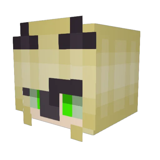 Prombina Minecraft avatar head, 3D render