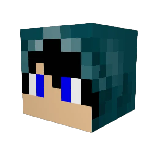 ProminentBlack Minecraft avatar head, 3D render