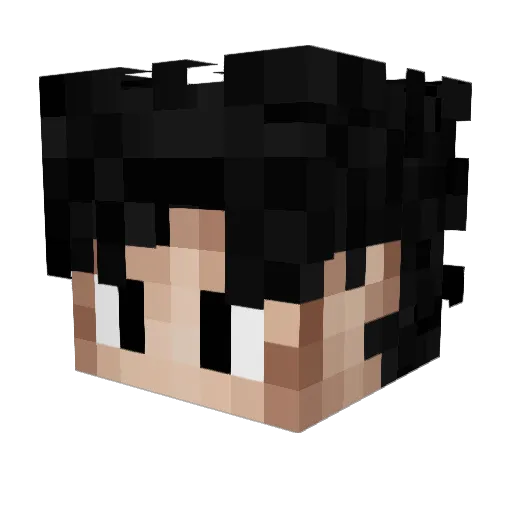 ProneX_YT Minecraft avatar head, 3D render