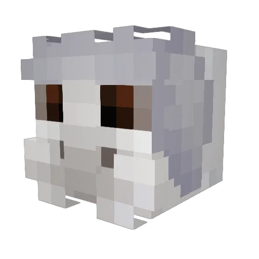Pronti Minecraft avatar head, 3D render