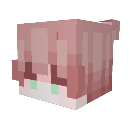 ProofTie570 Minecraft avatar head, 3D render