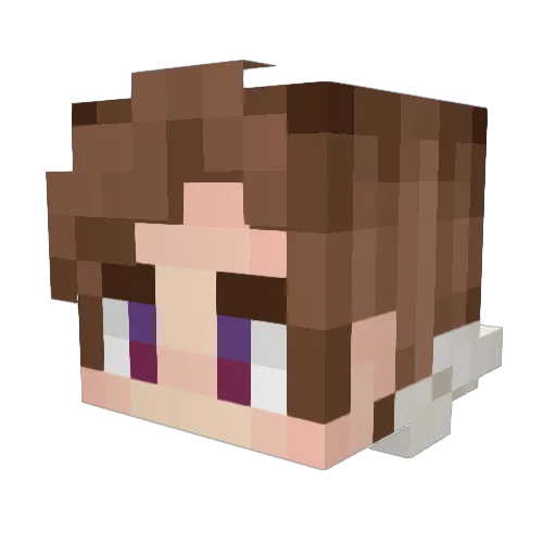 Proofreader Minecraft avatar head, 3D render