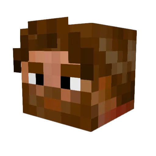 Propamint Minecraft avatar head, 3D render
