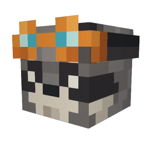 Propellerpupu Minecraft avatar head, 3D render
