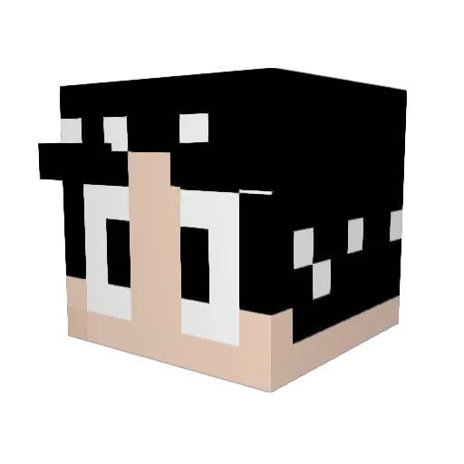 ProphetKiller Minecraft avatar head, 3D render