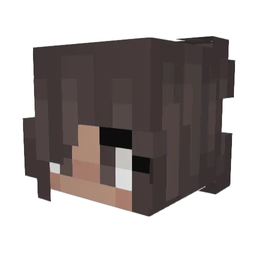 ProphetSamo Minecraft avatar head, 3D render
