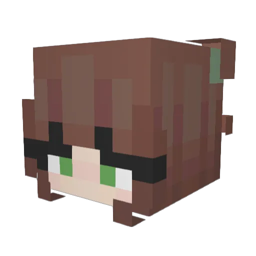 Proprotte Minecraft avatar head, 3D render