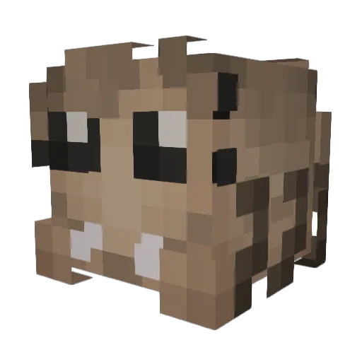 Prorokvk Minecraft avatar head, 3D render