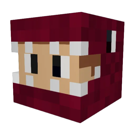 ProsPlaysMc Minecraft avatar head, 3D render