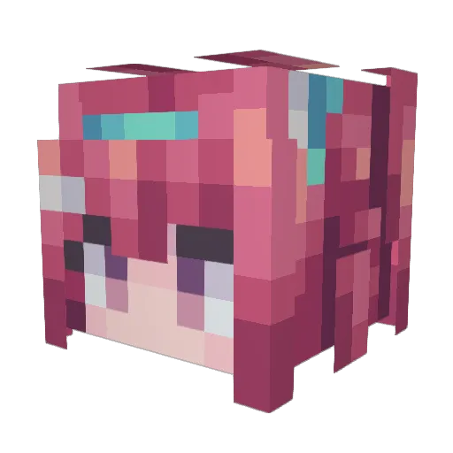 Prosperityswa Minecraft avatar head, 3D render