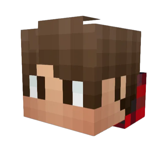 ProstoRepchatiy Minecraft avatar head, 3D render