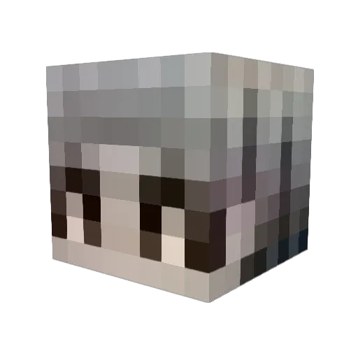 Prot4X Minecraft avatar head, 3D render