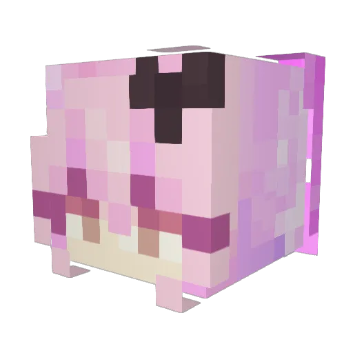 Protaius Minecraft avatar head, 3D render