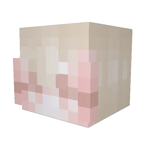Protato47 Minecraft avatar head, 3D render