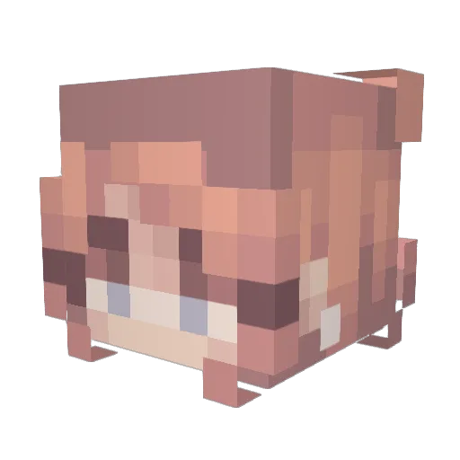 Protect_VPN Minecraft avatar head, 3D render