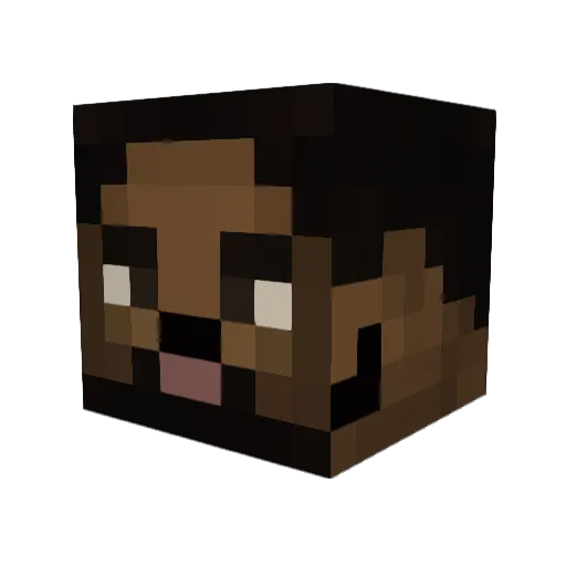 Protector911 Minecraft avatar head, 3D render