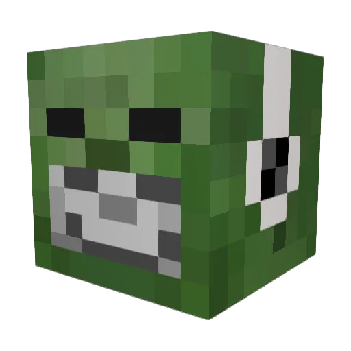 Protein_Cat Minecraft avatar head, 3D render