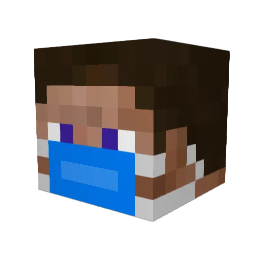 ProtestTheNoobs Minecraft avatar head, 3D render