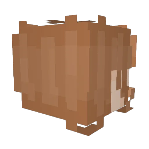 Protinator Minecraft avatar head, 3D render