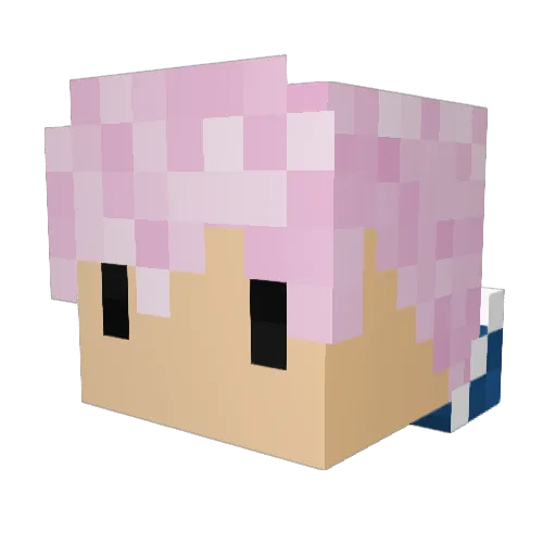 ProtoBuffers Minecraft avatar head, 3D render