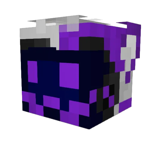 Protog4n Minecraft avatar head, 3D render