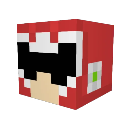 Protoman19 Minecraft avatar head, 3D render