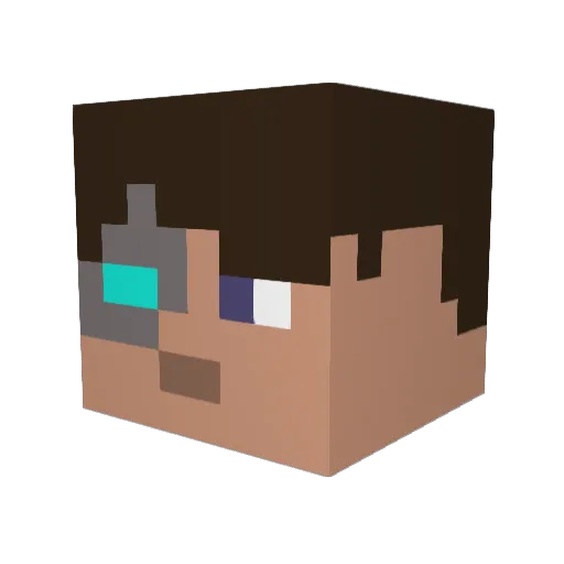 ProtonFix Minecraft avatar head, 3D render