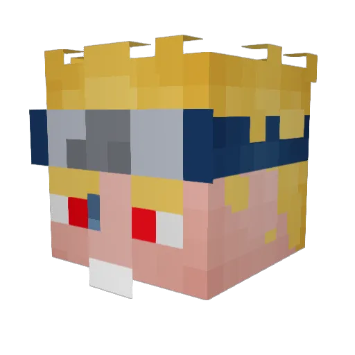 Prototype9100 Minecraft avatar head, 3D render