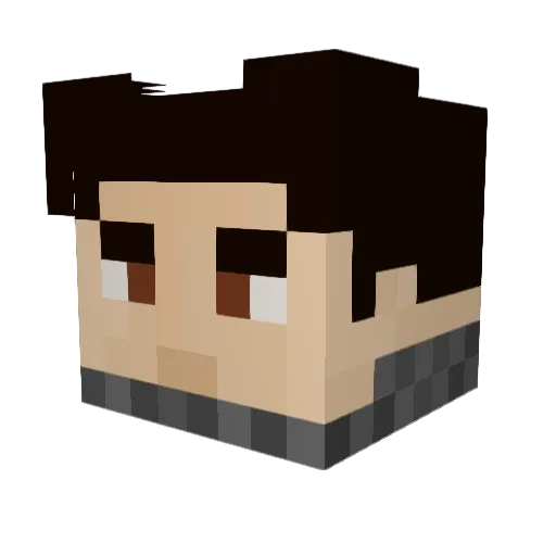 Protows Minecraft avatar head, 3D render