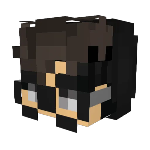 Protozoa Minecraft avatar head, 3D render
