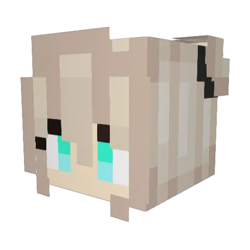 Protranetus Minecraft avatar head, 3D render