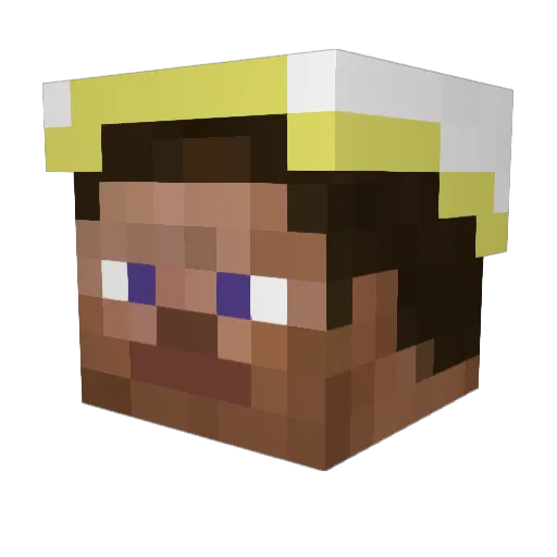 Proviantmeister Minecraft avatar head, 3D render