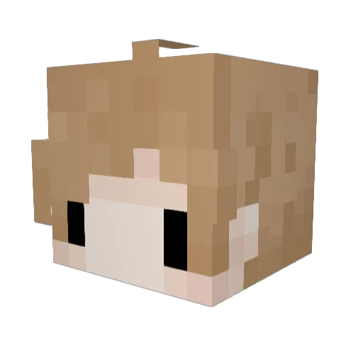Providalius Minecraft avatar head, 3D render