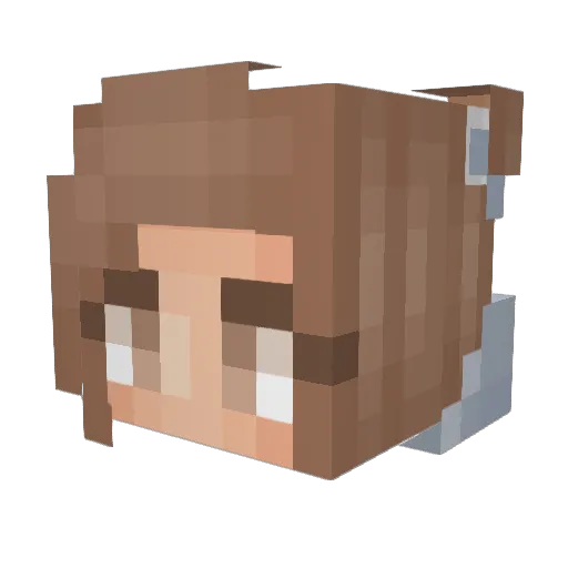 Provincial Minecraft avatar head, 3D render