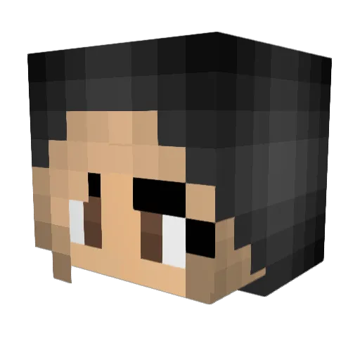 Prowl Minecraft avatar head, 3D render