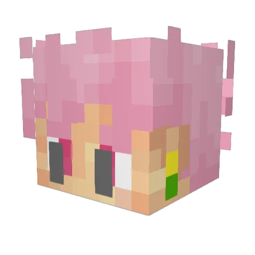 Prowllz Minecraft avatar head, 3D render