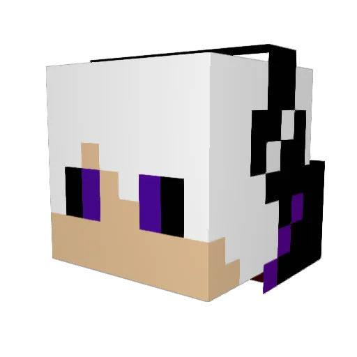 Prowolf08 Minecraft avatar head, 3D render