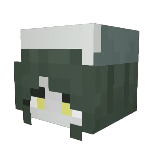 Proximaaaa Minecraft avatar head, 3D render