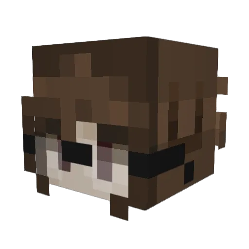 ProxyIsBack Minecraft avatar head, 3D render