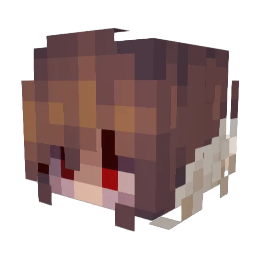 ProxyNoLonger Minecraft avatar head, 3D render
