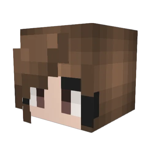 ProxyOnTheRoxs Minecraft avatar head, 3D render